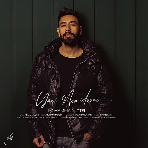 Cover artwork for Yani Nemidooni by Mohammad Lotfi